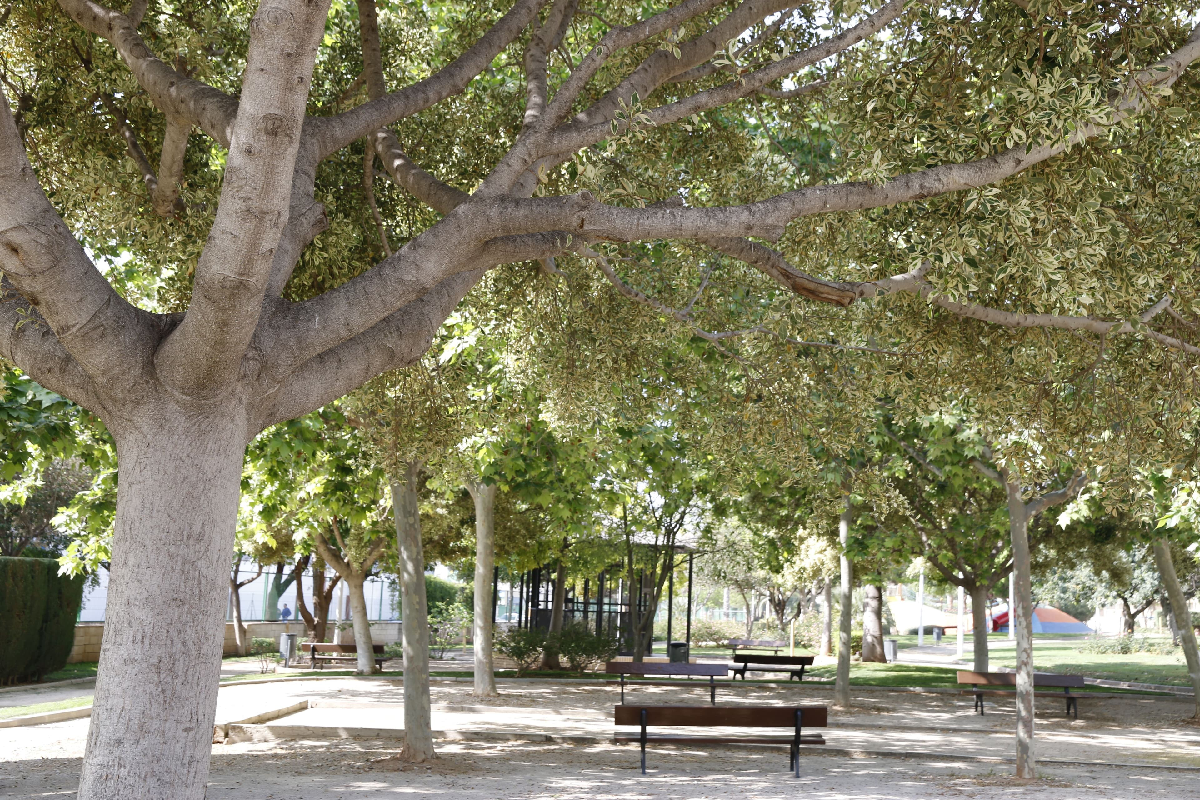 Ribelles Park