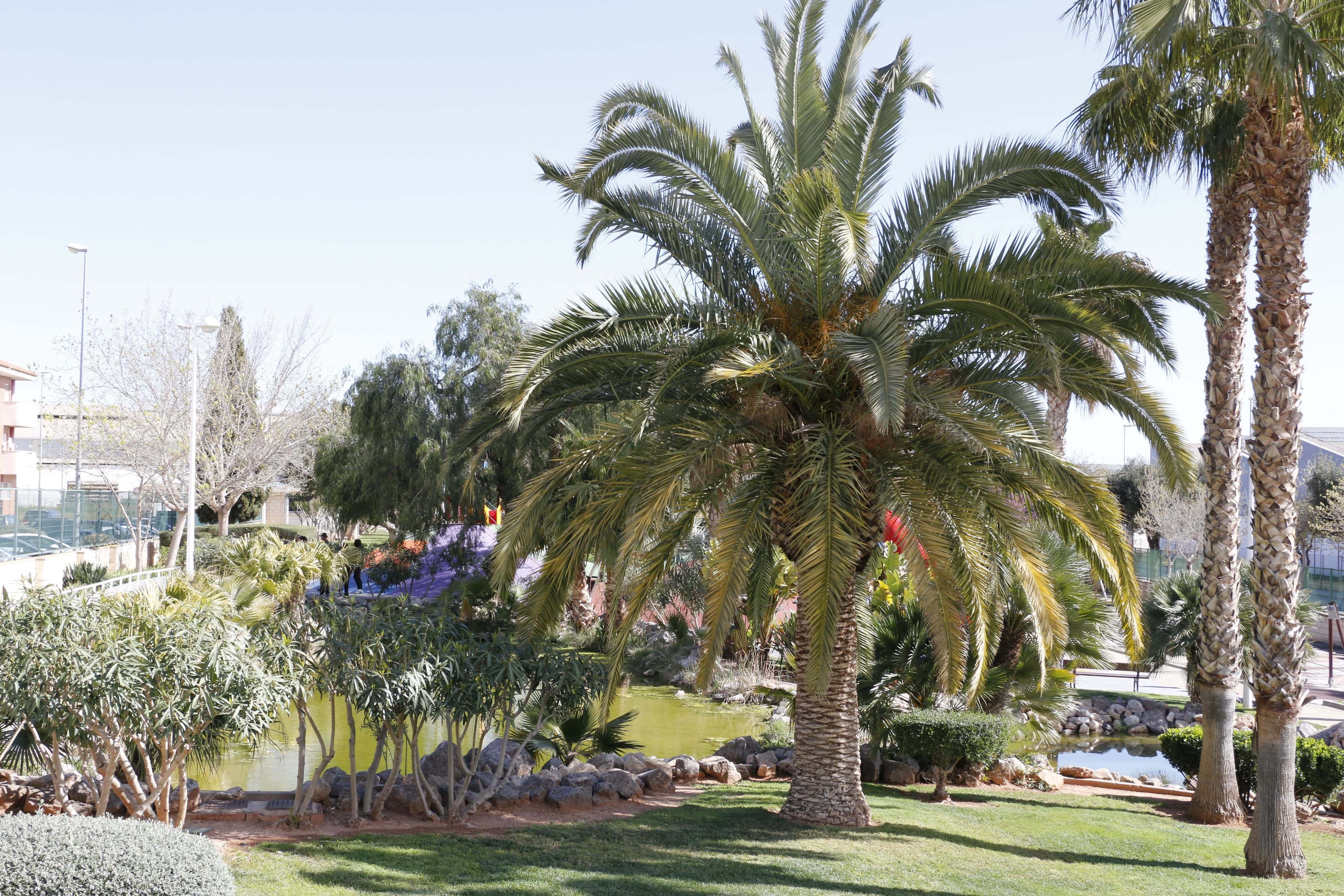 Ribelles Park