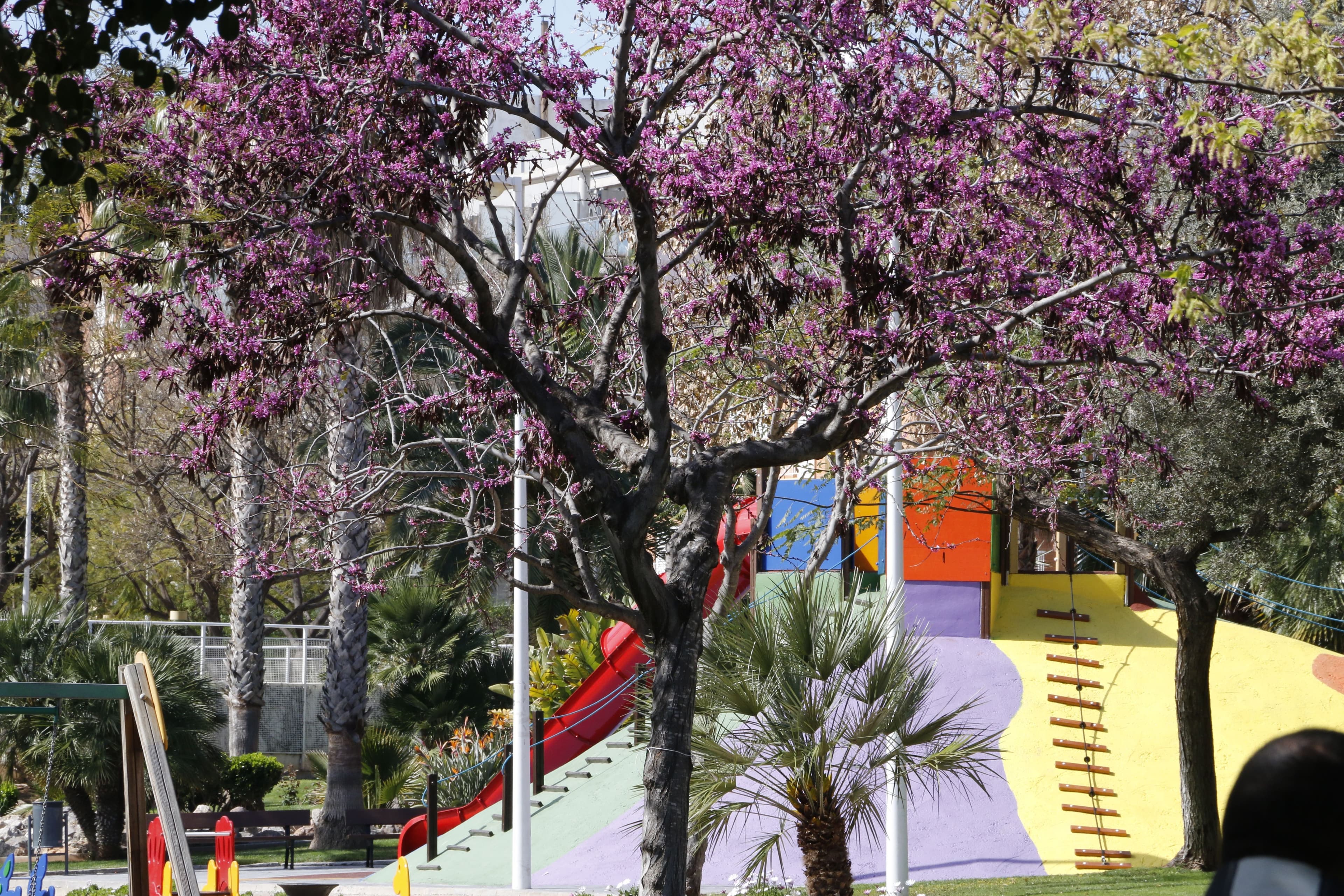 Ribelles Park
