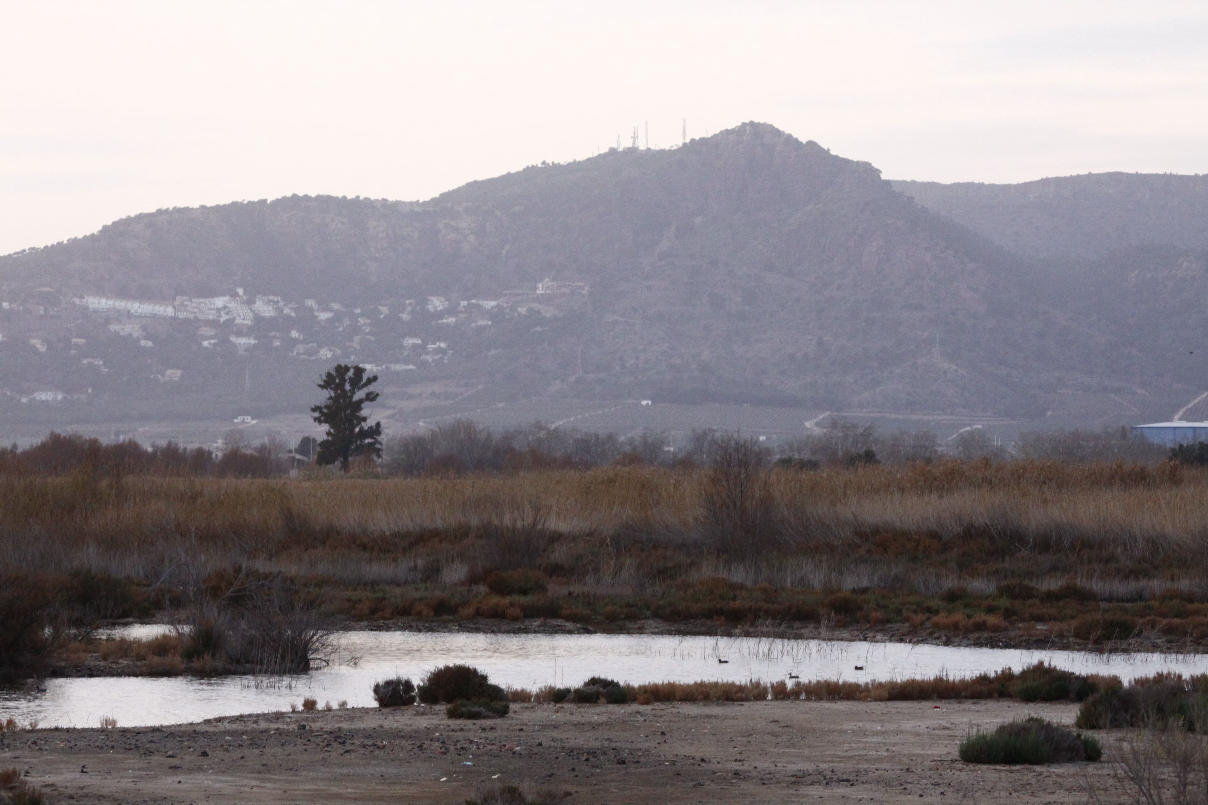Marjal dels Moros