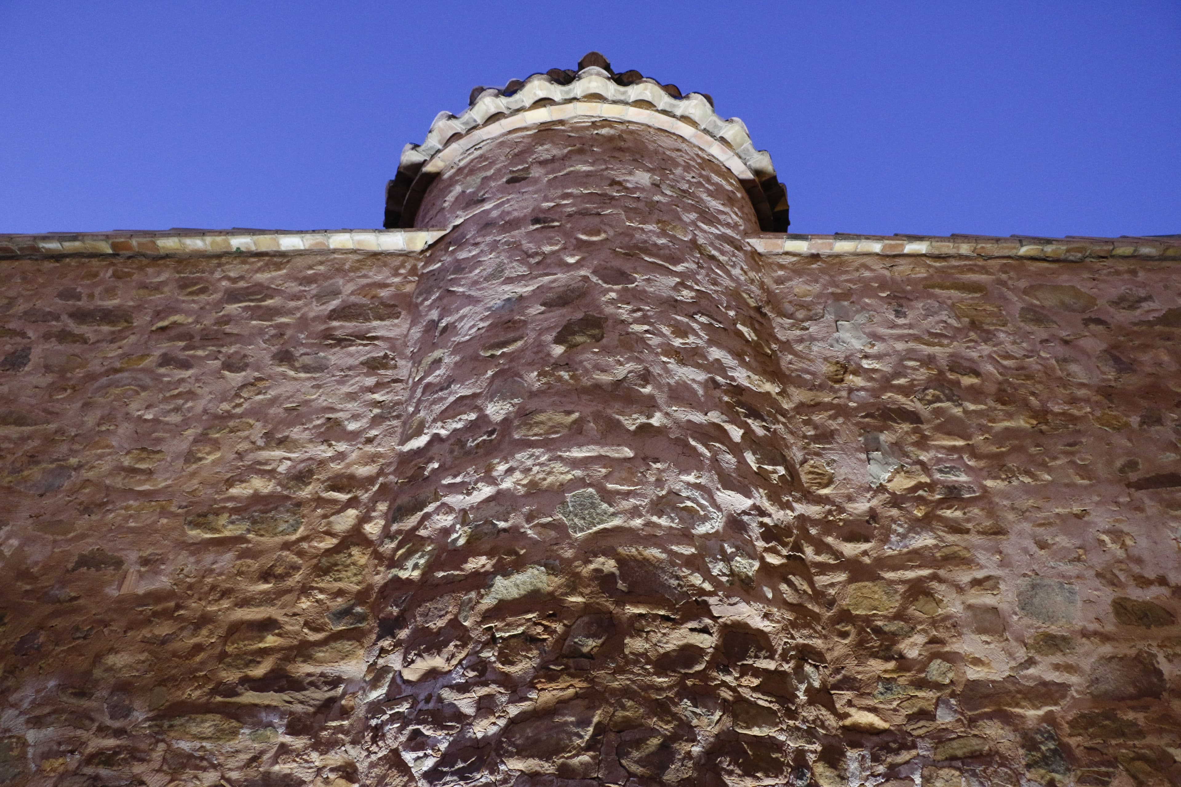 Botanical garden wall